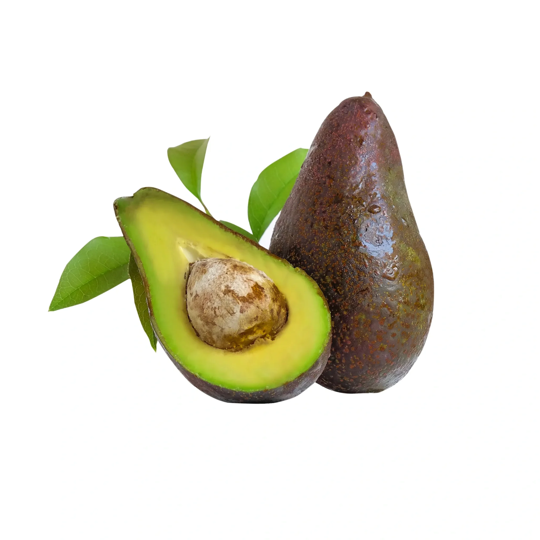 Fresh avocado halved with leaves